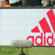 Illustration for article titled UEFA Rudely Fines Besiktas For Delightful Cat On Pitch